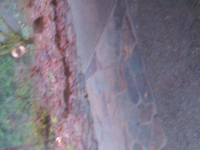 wp_20151228_007.jpg